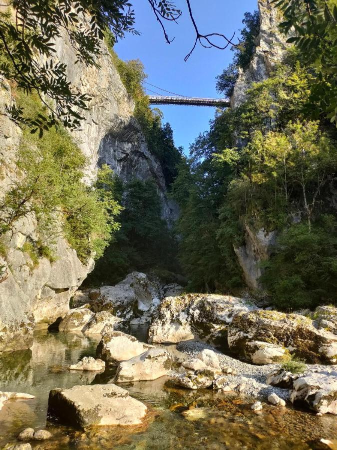 Cusy Entre Lacs Et Montagnes מראה חיצוני תמונה